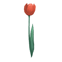Virtual Bouquet Sticker by Hello Flowers！