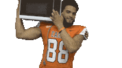 Happy Football Sticker by Carson-Newman Athletics