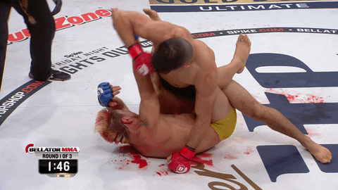 GIF by Bellator