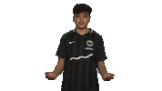 Give Eintracht Frankfurt Sticker by Bundesliga