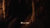 GIF by Outsiders
