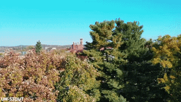 Blue Devils Fall GIF by University of Wisconsin-Stout