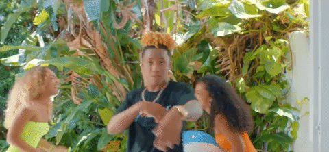 Treesha GIF by Justin Rarri