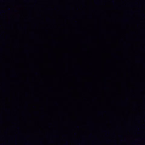 latenight GIF by andymilonakis