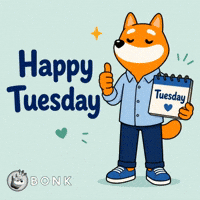 Crypto Tuesday GIF by BONK
