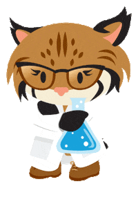 cat salesforce Sticker by AppExchange