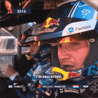 Sport Racing GIF by FIA World Rally Championship