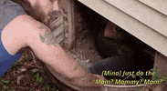 good bones GIF