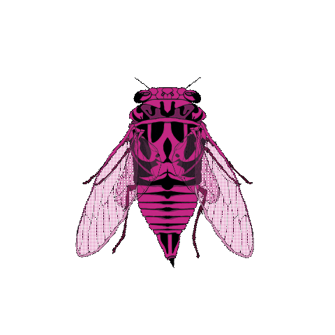 LaGerardo bicho cicada bichos insectos Sticker