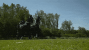 Koets Belbus GIF by BNNVARA