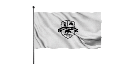 Soadragons Sticker by somersetoaks