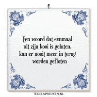 Humor Nl GIF by Tegelspreuken.nl