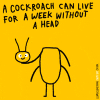 LearnSomethingEveryDay head doodle week die GIF