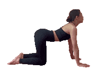 Yoga Y7 Sticker