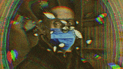 Wundersaar GIF