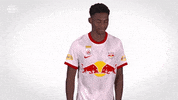 Here You Are Red Bull GIF by FC Red Bull Salzburg