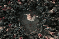 Vicky Kaushal GIF by Marathi PR