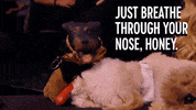 Triumph The Insult Comic Dog Reaction GIF by Comedy Central