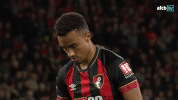 Football Soccer GIF by AFC Bournemouth