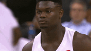 new orleans pelicans sport GIF by NBA