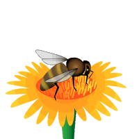 bee STICKER