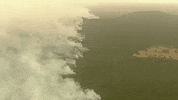 fires australia fires wildifires GIF