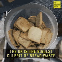 Bread Waste GIF by 60 Second Docs
