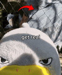 Get Real Shoebill GIF