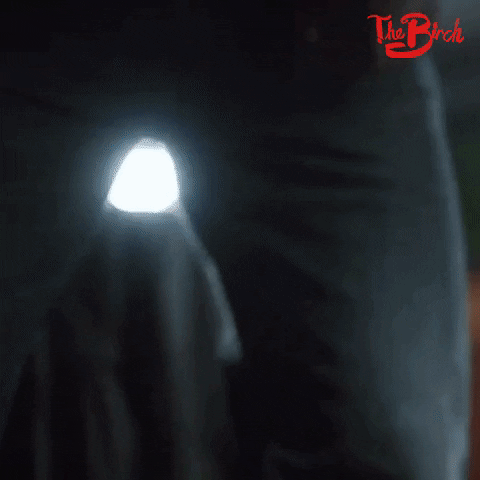 Season 1 Facebook Watch GIF by The Birch