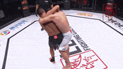 GIF by Legend FC