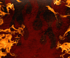 Hot Stuff Love GIF by Mike's Hot Honey