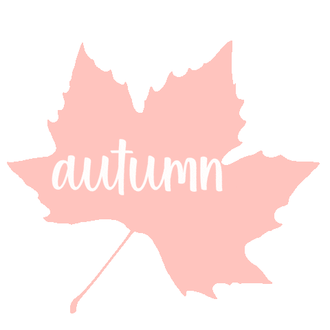 Text Love Sticker