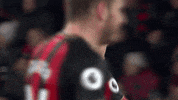 Football Soccer GIF by AFC Bournemouth