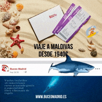 GIF by Buceo Madrid