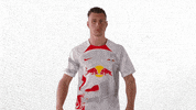 Football Soccer GIF by RB Leipzig