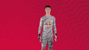 Oh Yeah Yes GIF by RB Leipzig