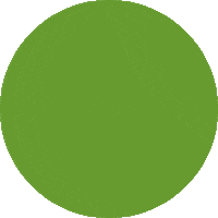 fotokasten green sale rabatt angebot Sticker