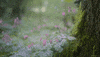 rain raining GIF by Living Stills