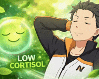 Natsuki Subaru GIF