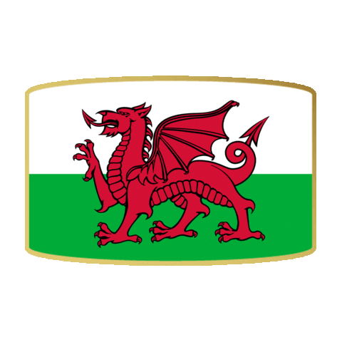 Fifa Wales Sticker