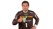 Handball-Bundesliga Handball Sticker by LIQUI MOLY HBL