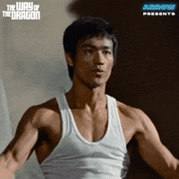 Lets Go Fighting GIF by Arrow Video