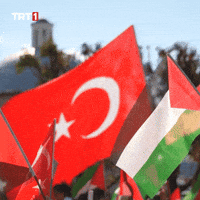 Flag Help GIF by TRT