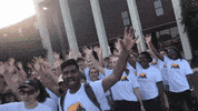 College Bears GIF by Baylor University