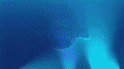 GIF by Chandelier Creative