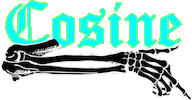 skeleton bones Sticker by Cosine