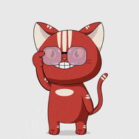 Cat Love GIF by Kitaro World