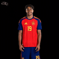 Fifa World Cup Spain GIF by Respective