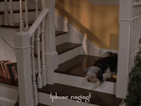 season 6 netflix GIF by Gilmore Girls 