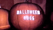 Trick Or Treat Halloween GIF